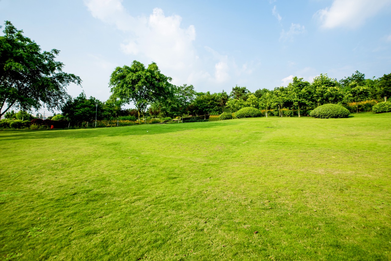 Learn-How-To-Buy-Land-In-Sri-Lanka-And-Stay-Safe-From-Real-Estate-Frauds
